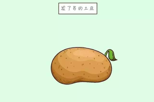 整个孕期，有几种食物孕妇多吃可能会损害胎儿发育