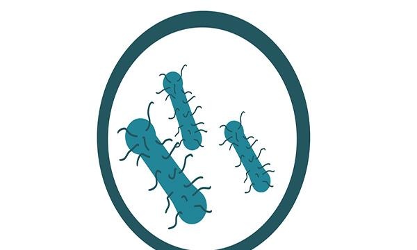 热饭菜应该等到凉了才放冰箱吗？答案可能和你想的完全相反