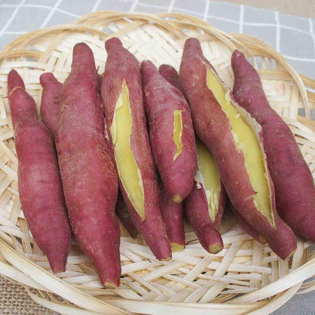 秋天是收红薯的季节,这三种红薯,香甜软糯,一定得尝尝