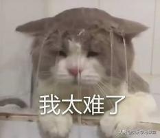 家长用生僻字给孩子取名，名字写半小时？是为难老师还是坑自己？
