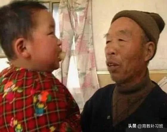 出生48天妈妈就离世，可怜的婴儿竟是被一头羊喂大的！