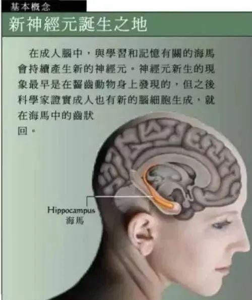 发展孩子大脑最好的三个方法，运动、阅读和游戏