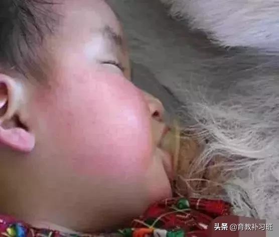 出生48天妈妈就离世，可怜的婴儿竟是被一头羊喂大的！