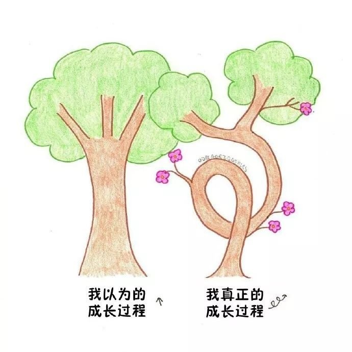 成年人生活一览，真的好真实！除了努力还有什么用呢！