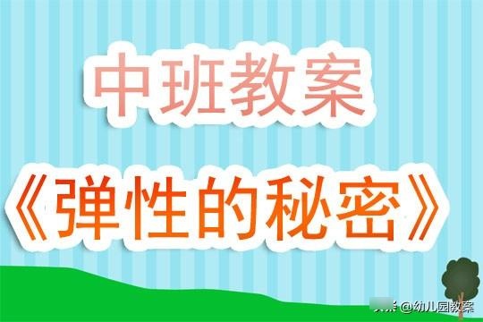 幼儿园中班教案《弹性的秘密》含反思