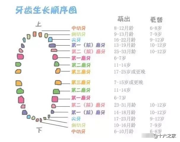 牙齿的好坏和遗传有关系么？