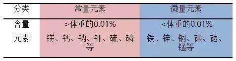 孩子缺钙、铁、锌有哪些表现？该不该补？怎么补？