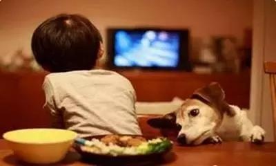 一边吃饭一边看电视，你家宝宝中招了吗？