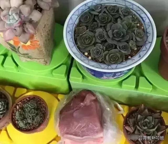 幼儿园奇葩作业“画妈妈睡姿”，老师看后笑岔气：很有天赋！