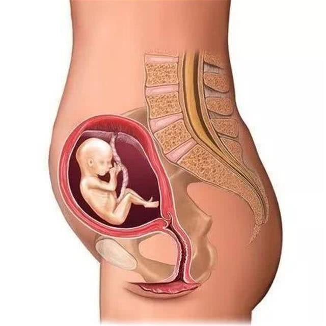 怀孕时，孕妈的肚子哪个部位先大？不同孕妈得出的结果可能不同