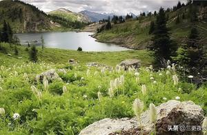Relax the Nervous System, Delight the Mind and Body