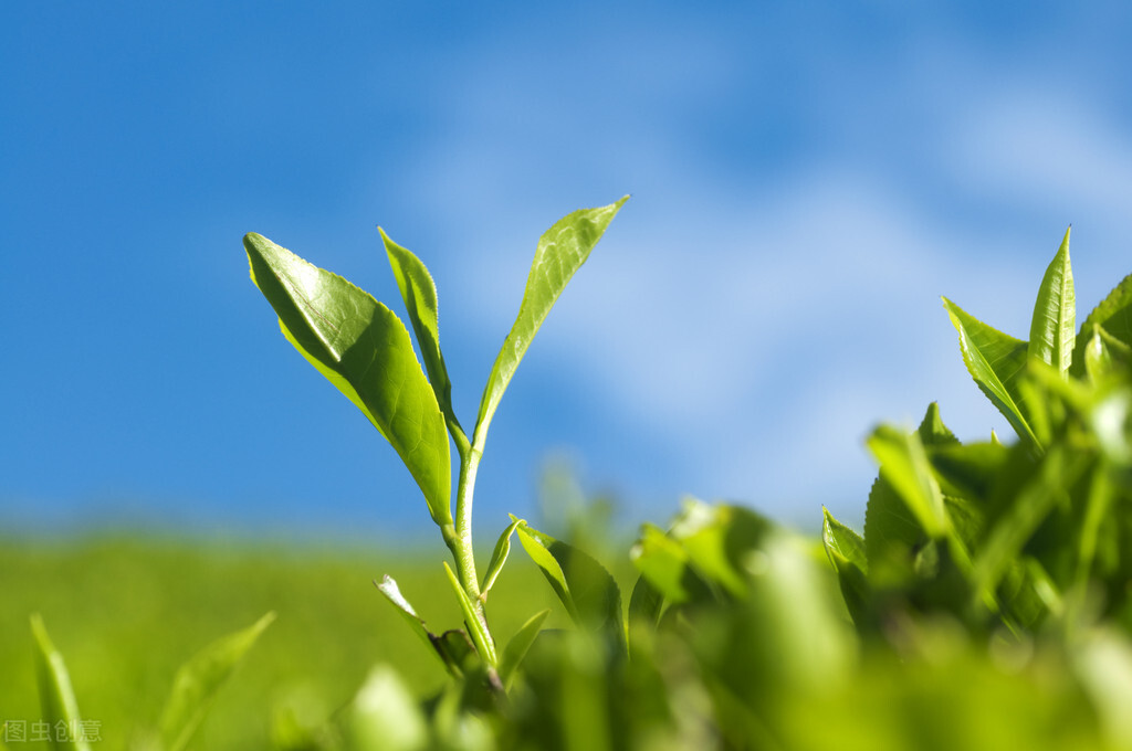 人生有六气看完豁然开朗