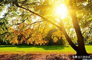 Life doesn't need to be overly attached; fulfill your duties and accept what fate brings.
