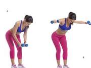 A Set of 7 Dumbbell Exercises to Train the Upper Body Muscle Groups, Shaping Firm Arms, Attractive Shoulder Blades