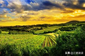 Those Who Are Bewildered Live in the Past, Those Who Aspire Live in the Future