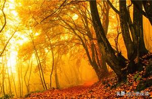 Where the mountain doesn't turn, the road turns; where the road doesn't turn, people turn.