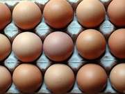 Eggs and this item paired, a ‘fat-burning killer’, rich in nutrition, beauty-conscious women shouldn’t miss