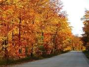 Benefits of Autumn Fitness for Women and Exercise Guidelines