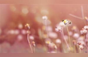 Inspirational Reflections: Deep Insights and Classic Sentences Worth Contemplating