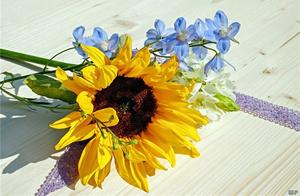 Insightful Sentences for Life: Deep Understanding, Classic Wisdom, and Heartfelt Reflection