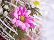 Sentences That Give Wisdom and Strength, Uplifting and Positive, Read Many Times