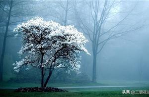 Growth is an experience, maturity is a kind of experience gained.