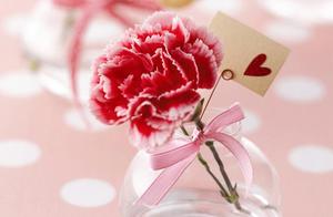 Meeting You is My Destiny