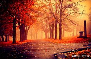 Control Desire, and Your Heart Will Be Calm; Do Not Be Angry, and You Will Find Peace.