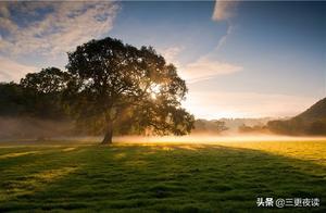 To be human, simplicity is key; life, tranquility is key