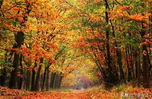 Do Not Compete, and You Will Be at Peace; Want Nothing, and You Will Find Tranquility