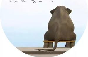Night Listening | Everyone Relies on Others Except When You Have a Use