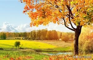 No matter what is lost, don't lose your good mood
