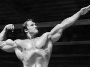 Can't Go to the Gym? Schwarzenegger Shares His Home Training Plan