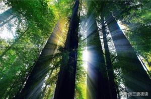 The Road of Life is Under Your Feet