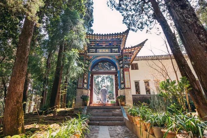 中国最美尼姑庵火了不烧香只种花网友惊呼看一眼就想出家