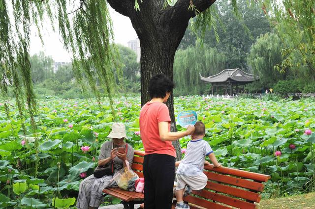 一些市民在公园纳凉程曦摄