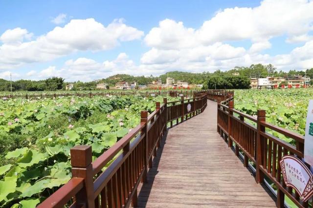 河源:这些乡村正参加全省评选,有你家乡吗?一起为家乡打call!