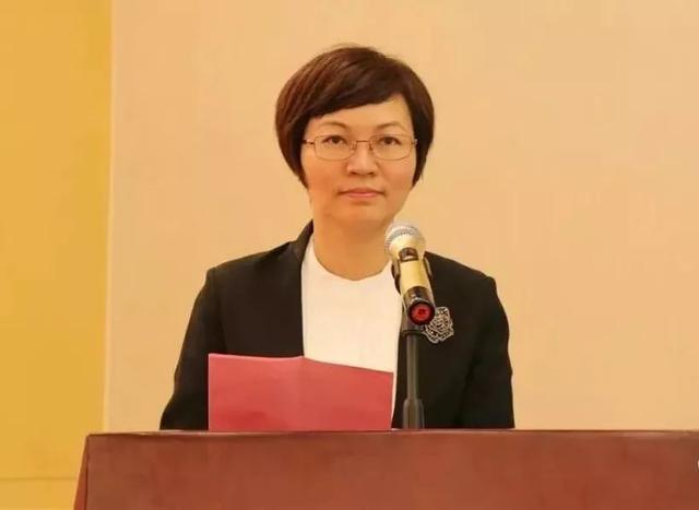 谭萍任广州市副市长 谭萍简历照片