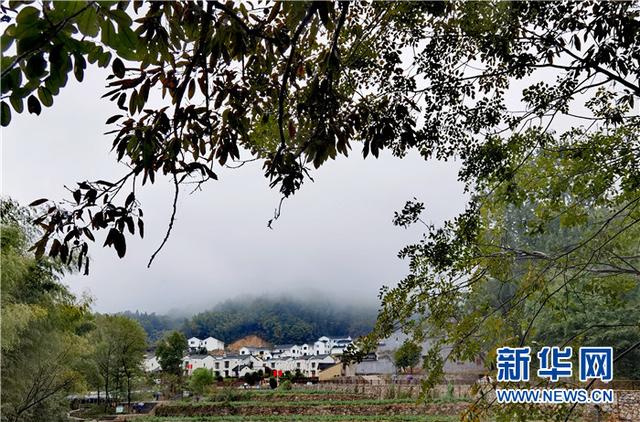 金寨县花石乡大湾村地处大别山腹地,曾是全县重点贫困村之一,贫困