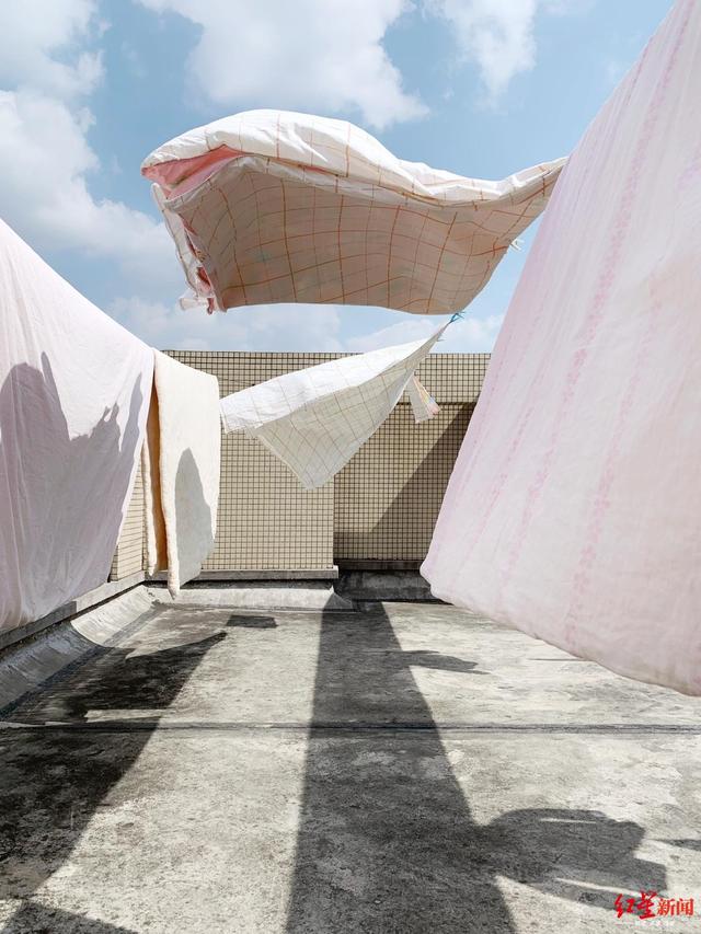 楼顶晾床单拍了张照,成都摄影师获"手机摄影奥斯卡"年度大奖