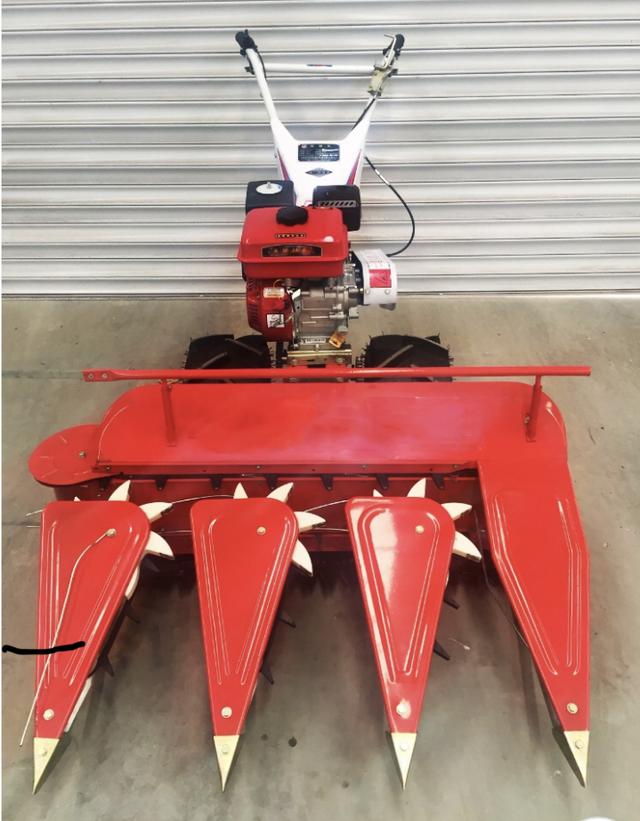 三行小麦割晒机,柴油动机5050,你觉得贵吗?