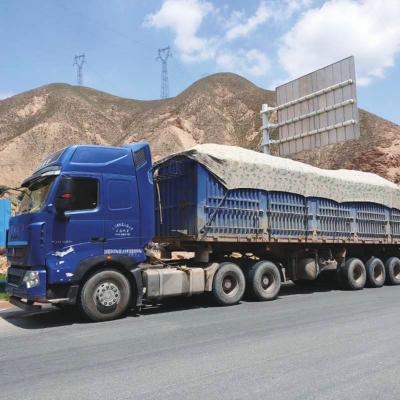 7吨!兰州交警查货超载王