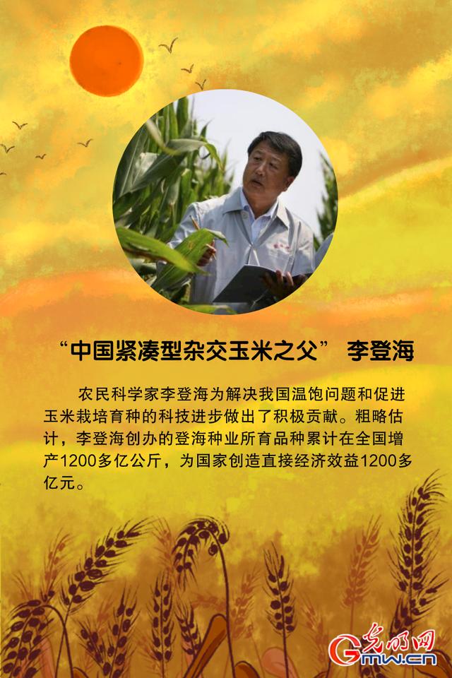 当中国大地一片金黄,大家为秋粮丰收欢呼雀跃之时,请不要忘记这些为