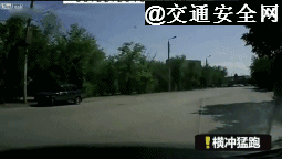 【你的育儿经】请告诉孩子：我们跑不过汽车！