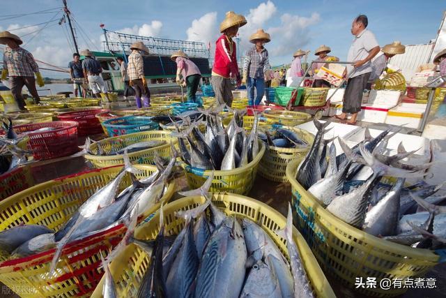 想吃海魚就買這5種都是野生魚目前無法人工養殖放心吃吧