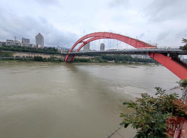 "封江"之后:平静水面下,野生鱼儿正游来