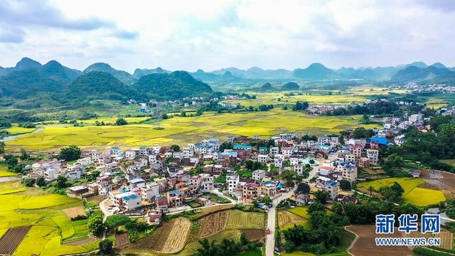 广西柳州市鱼峰区里雍镇龙江村.(无人机拍摄)