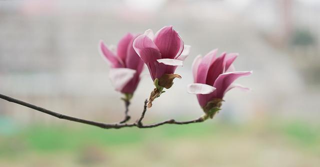 不花一分钱的减肥妙方送给你,对大肚腩特别有效