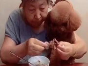 Grandma Raises Puppy and Treats It Like a Grandson, Feeling He's Better Than a Teddy Bear