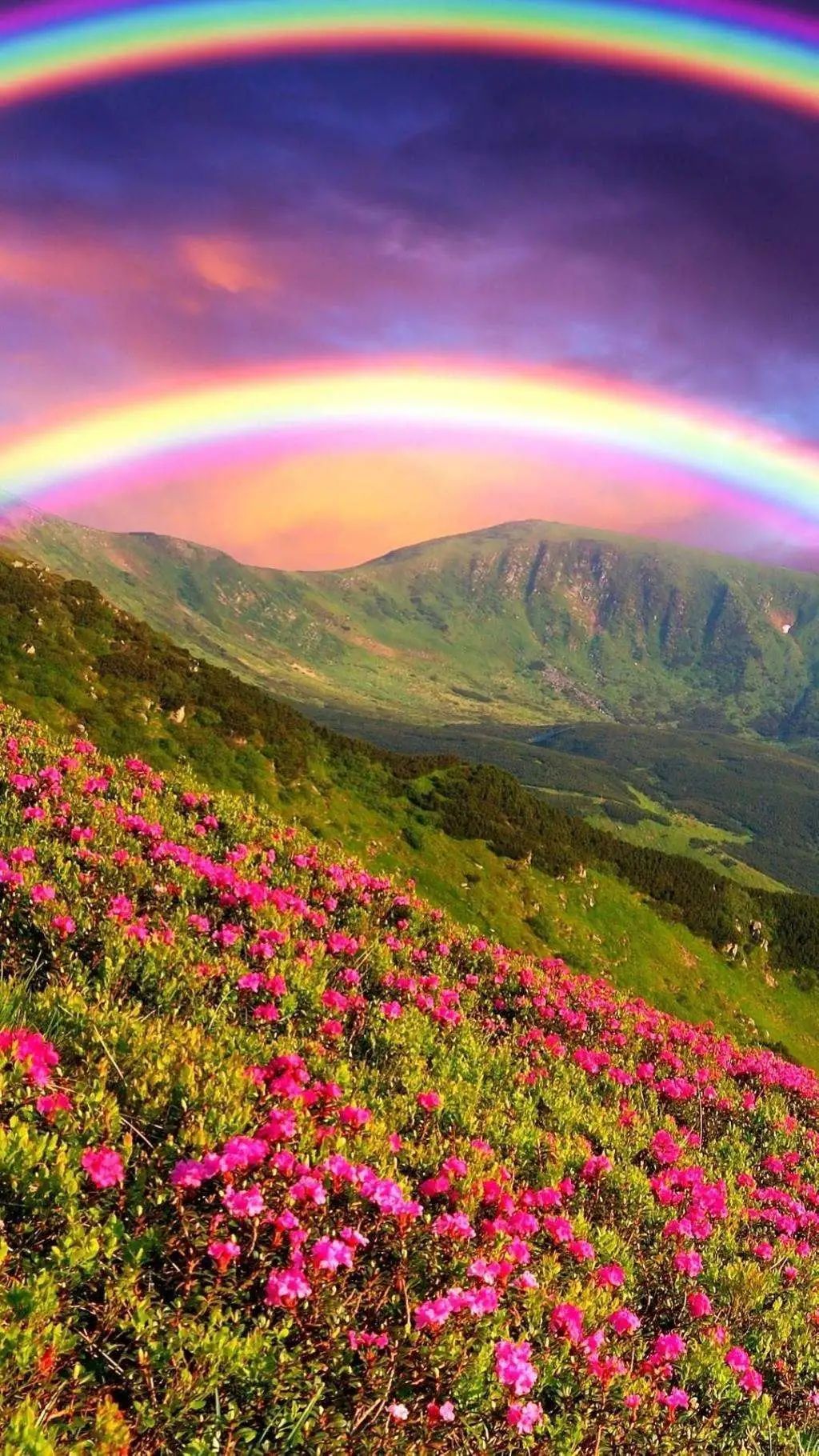 花海!可不能一个人藏起来看!